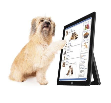 veterinary-dog-scrolling-tablet-450px-shutterstock-258579119.jpg