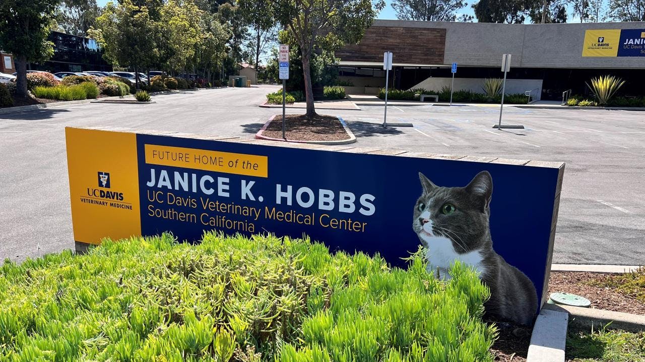 The Janice K. Hobbs UC Davis Veterinary Medical Center Southern California. (Photo credit: Blake O'Brien)