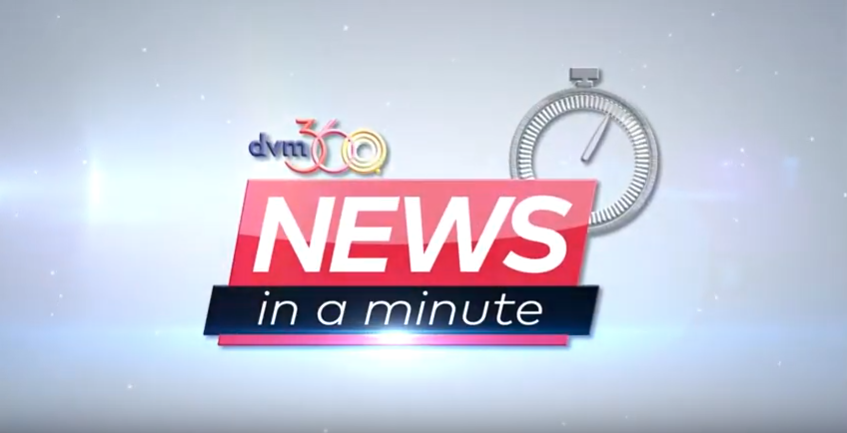 News in a minute: The “loneliness epidemic”, first AAFP e-conference, dvm360’s new Chief Veterinary Officer