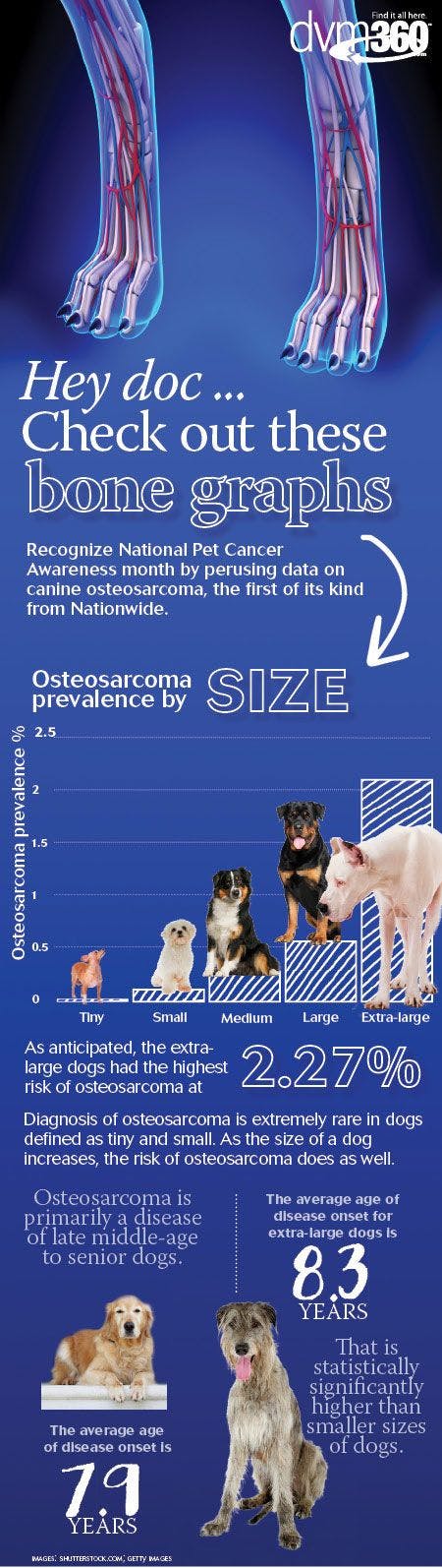 veterinary-osteosarcoma-1-450.jpg