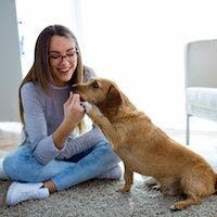 Pet Owners Are Willing to Pay for Convenience