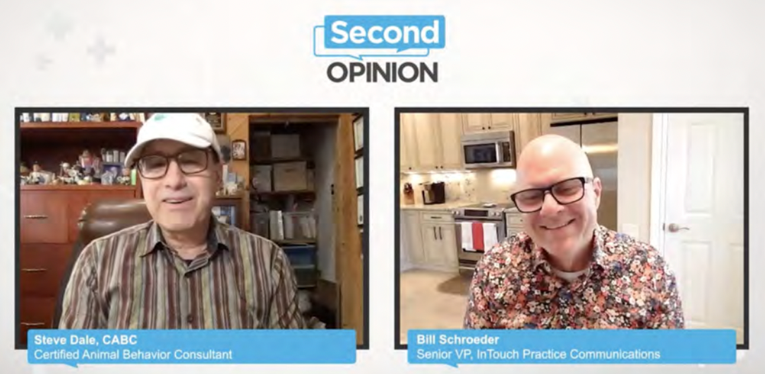 Dale and Schroeder reviewing the different marketing methods in a dvm360® interview. 