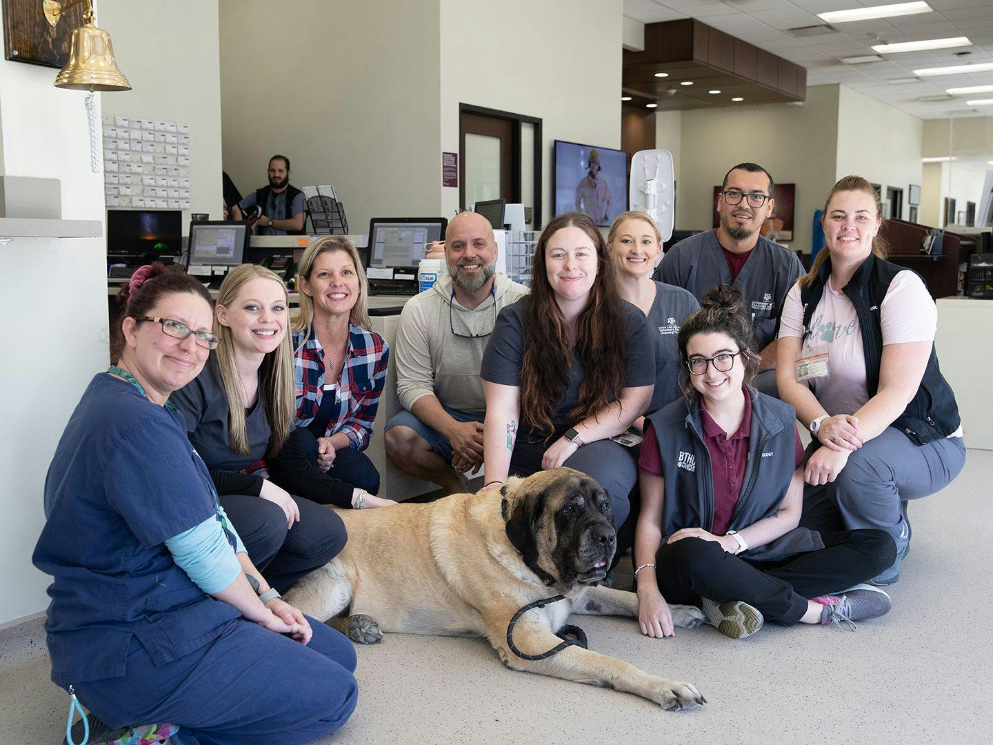 Henry celebrates with his owners and oncology team (Image courtesy of Texas A&M SATH) 