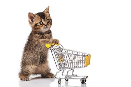 veterinary-cat-with-shopping-cart-450px-shutterstock-105543626.jpg