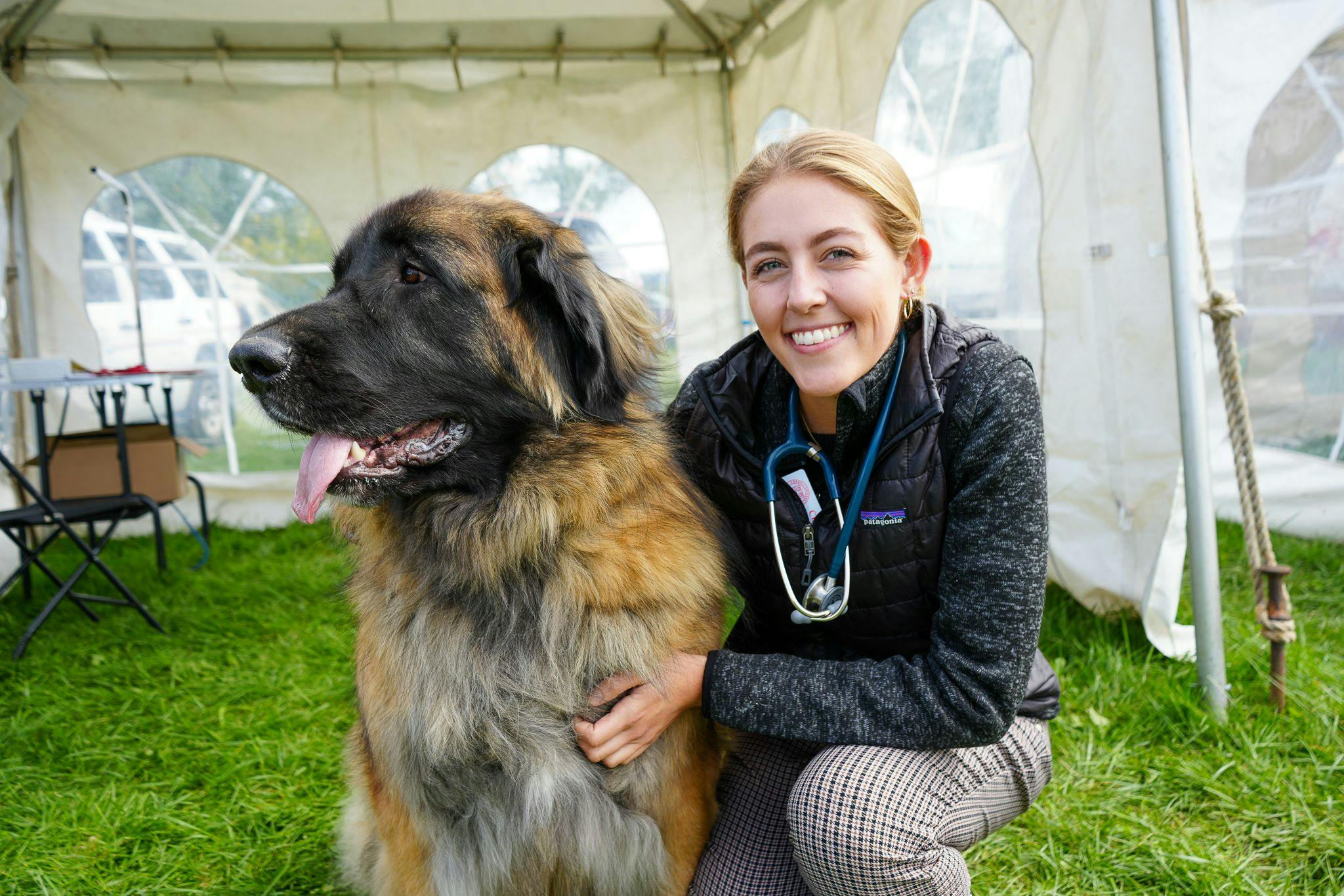Third-year veterinary student Hannah Flamme poses with a Leonberger at the 36th annual Wine Country Circuit Dog Show. (Photo by John Enright/CVM)
