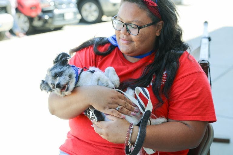 A joyful moment captured at a previous National Adoption Week (Photo courtesy of PetSmart Charities).  
