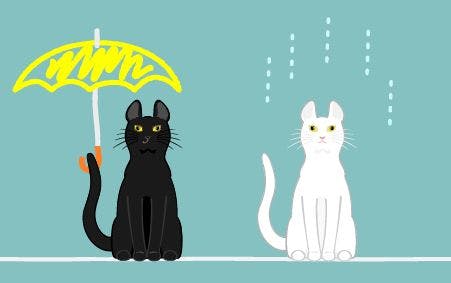 veterinary-illustration-white-cat-black-cat-umbrella-rainy-day-AdobeStock_75912296_450.jpg