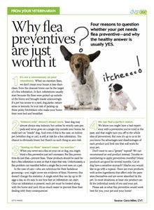 veterinary-handout-flea-preventives.jpg