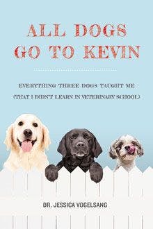 220All-Dogs-Go-to-Kevin-final-cover_1-copy.jpg