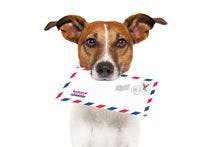 veterinary-Mail-dog_220px_148361574.jpg