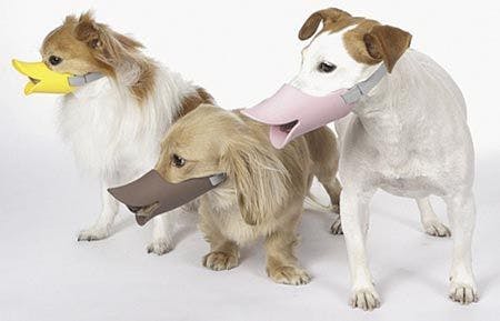veterinary-oppo-dog-muzzle-duck-bill-1_450px.jpg