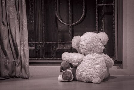 veterinary-teddy-bears-in-a-deep-depression-450px-shutterstock-301985645.jpg