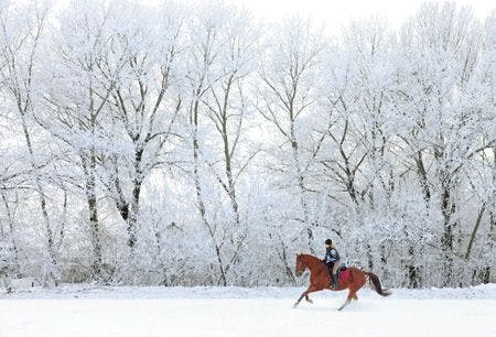 veterinary-woman-and-horse-cantering-in-snow-450px-shutterstock-159780014.jpg