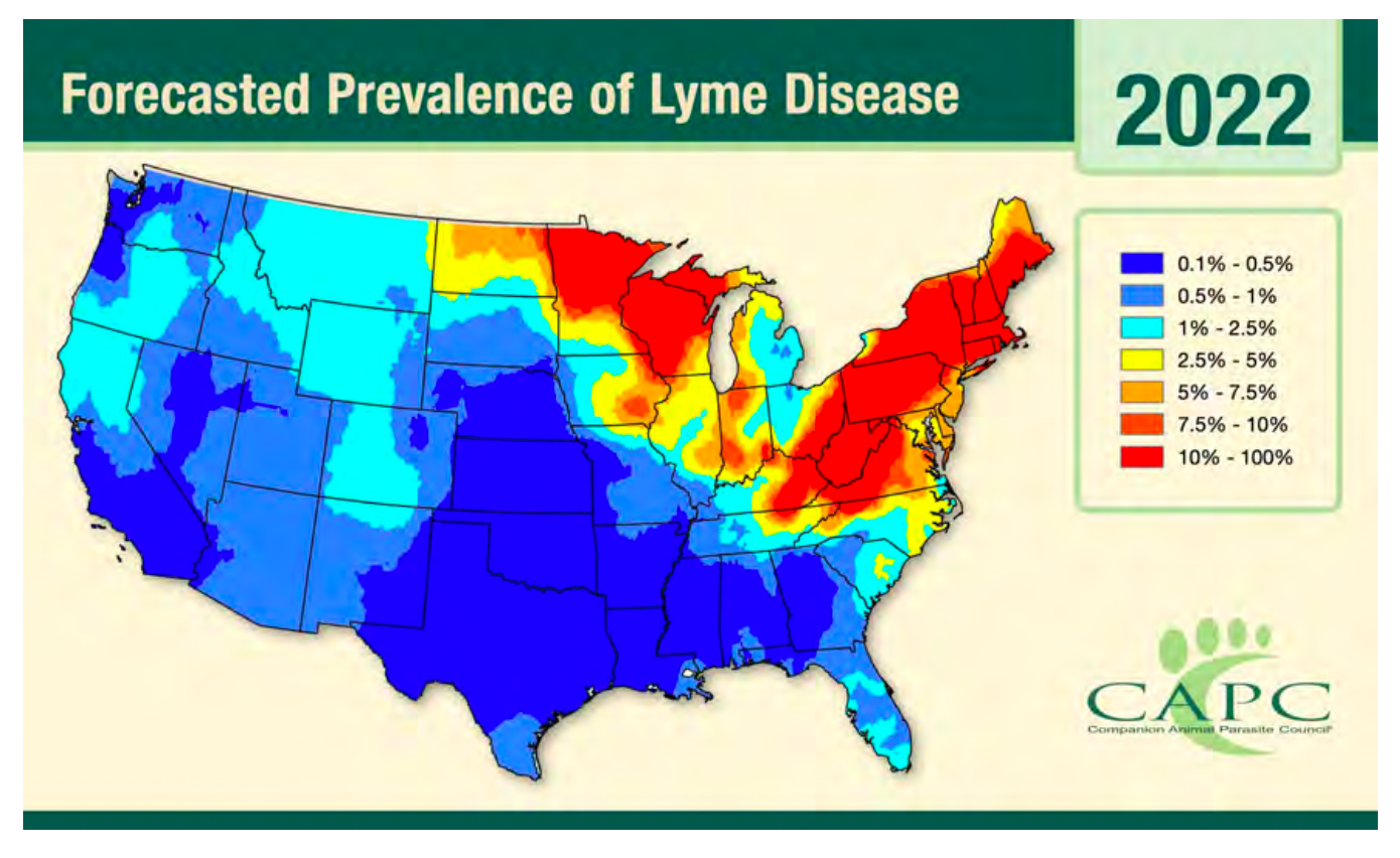Lyme disease risk forecast to increase