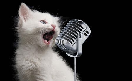 bg_beautiful-cat-is-sing-a-song_450.jpg