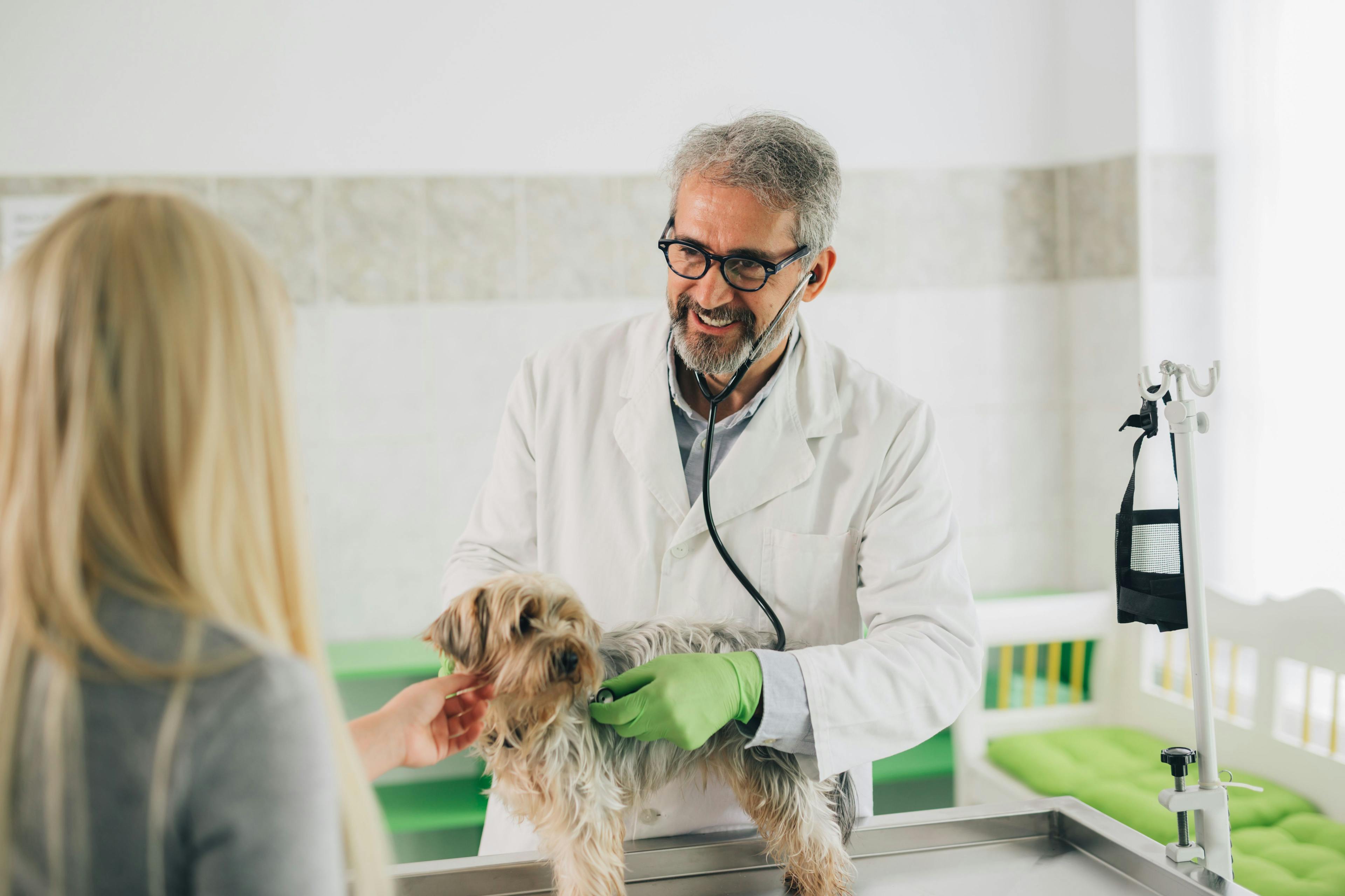 Veterinarian communication with clients