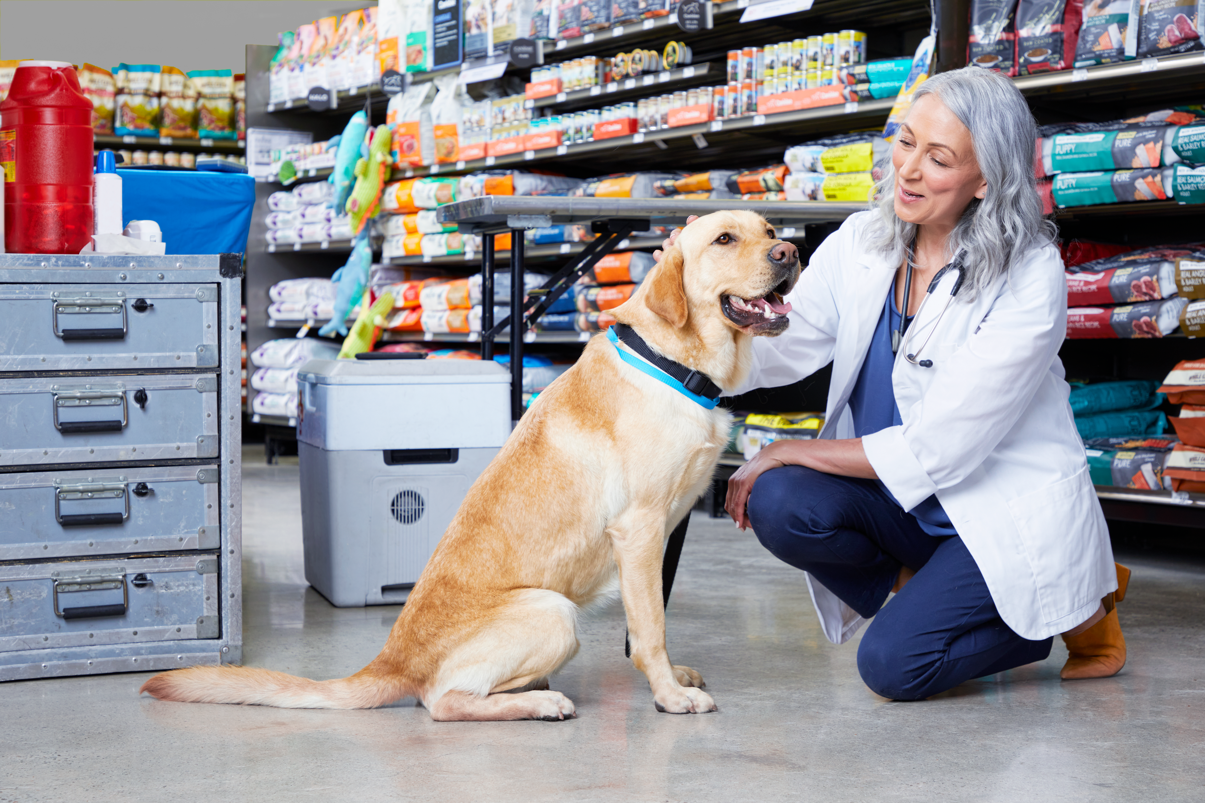 Petco and Nationwide partner for exclusive pet insurance offers