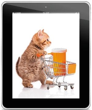 veterinary-pet-shop-concept-british-cat-with-shopping-cart-isolated-on-white-shutterstock-342773123-body.jpg