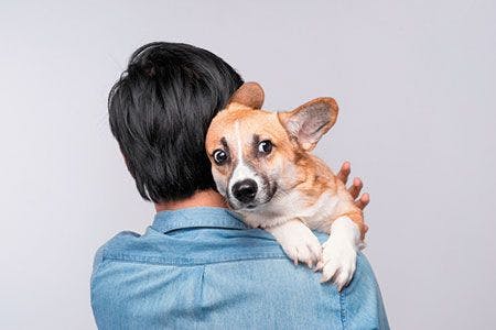 veterinary-dog-shoulder-hold-sad-shutterstock-687747088_450.jpg