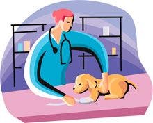 veterinary-Veterinarian-examining-Puppy_220px_109271002_1.jpg