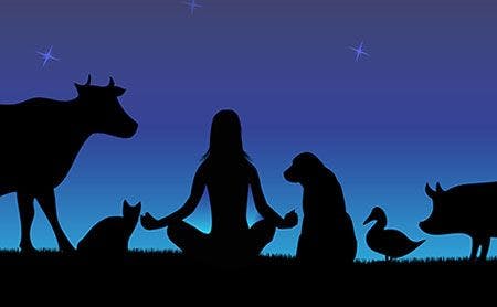 veterinary-woman-meditation-cow-pig-cat-dog-duck-shutterstock_308762063-450.jpg