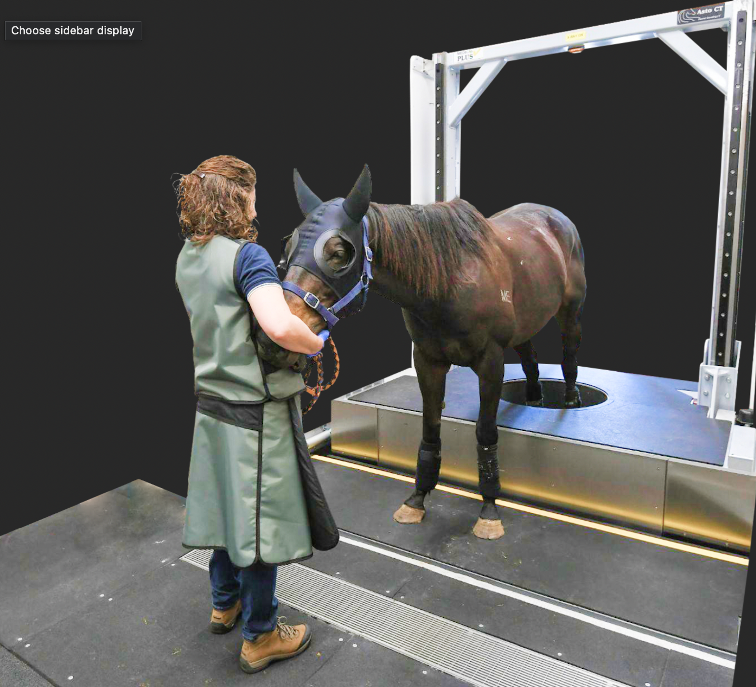 Quarter horse receiving a hind limb scan with the Equina standing CT scanner (Photo courtesy of Astro CT). 
