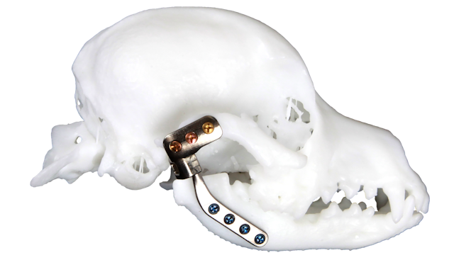 Temporomandibular joint prosthesis for cats and dogs