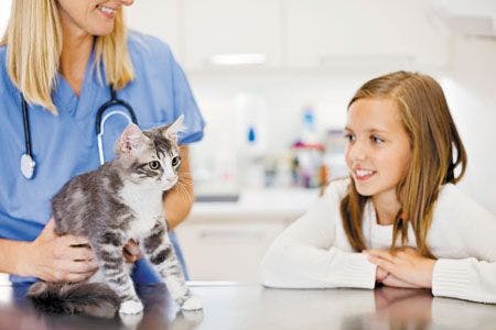 450veterinary-cat-kitten-vet-exam-child-164853740.jpg