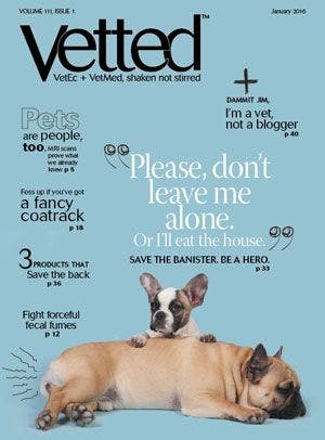 Vetted_issue1_2016_bodycopy.jpg
