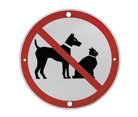 veterinary-road-sign-saying-no-dogs-or-cats-450px-shutterstock-116435053.jpg