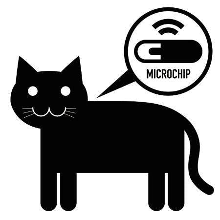 veterinary-cat-microchip-450px-shutterstock-505653253.jpg