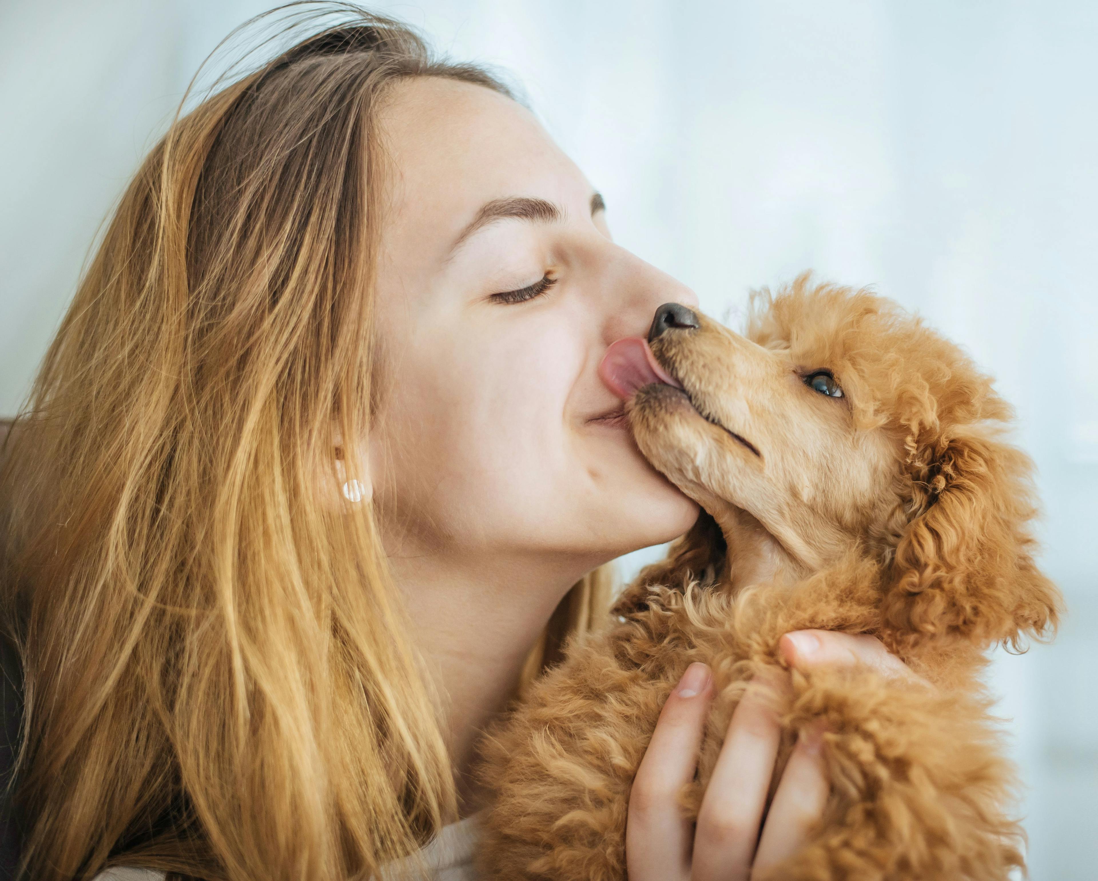 Survey unveils new insights on saying goodbye to pets