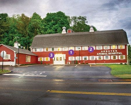 Veterinary_Andover_Exterior_Numbered_450-1.jpg