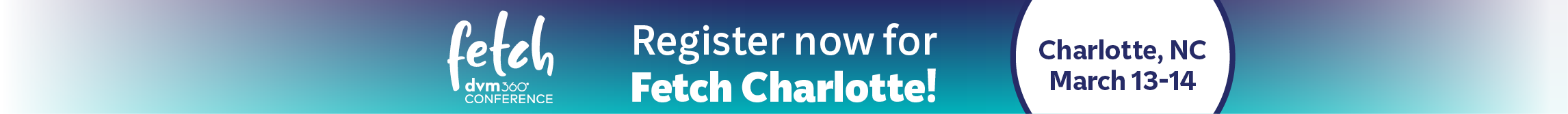 Banner - Fetch Charlotte 2026