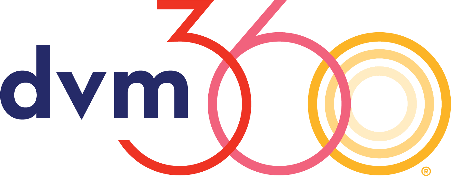 VMX 2025 Saturday and Sunday