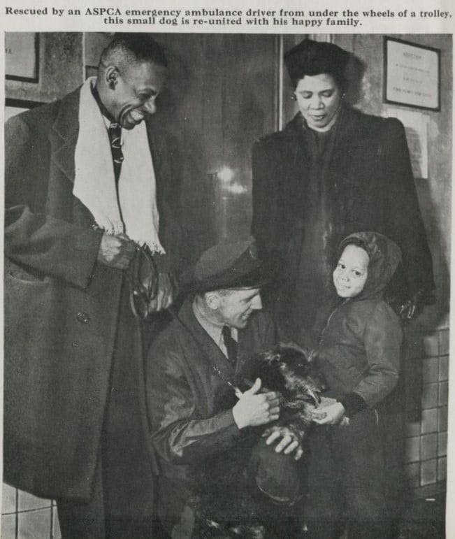 A dog in New York City reunited with his family, thanks to the ASPCA. From the 1946 ASPCA Annual Report. (Photo courtesy of the ASPCA). 