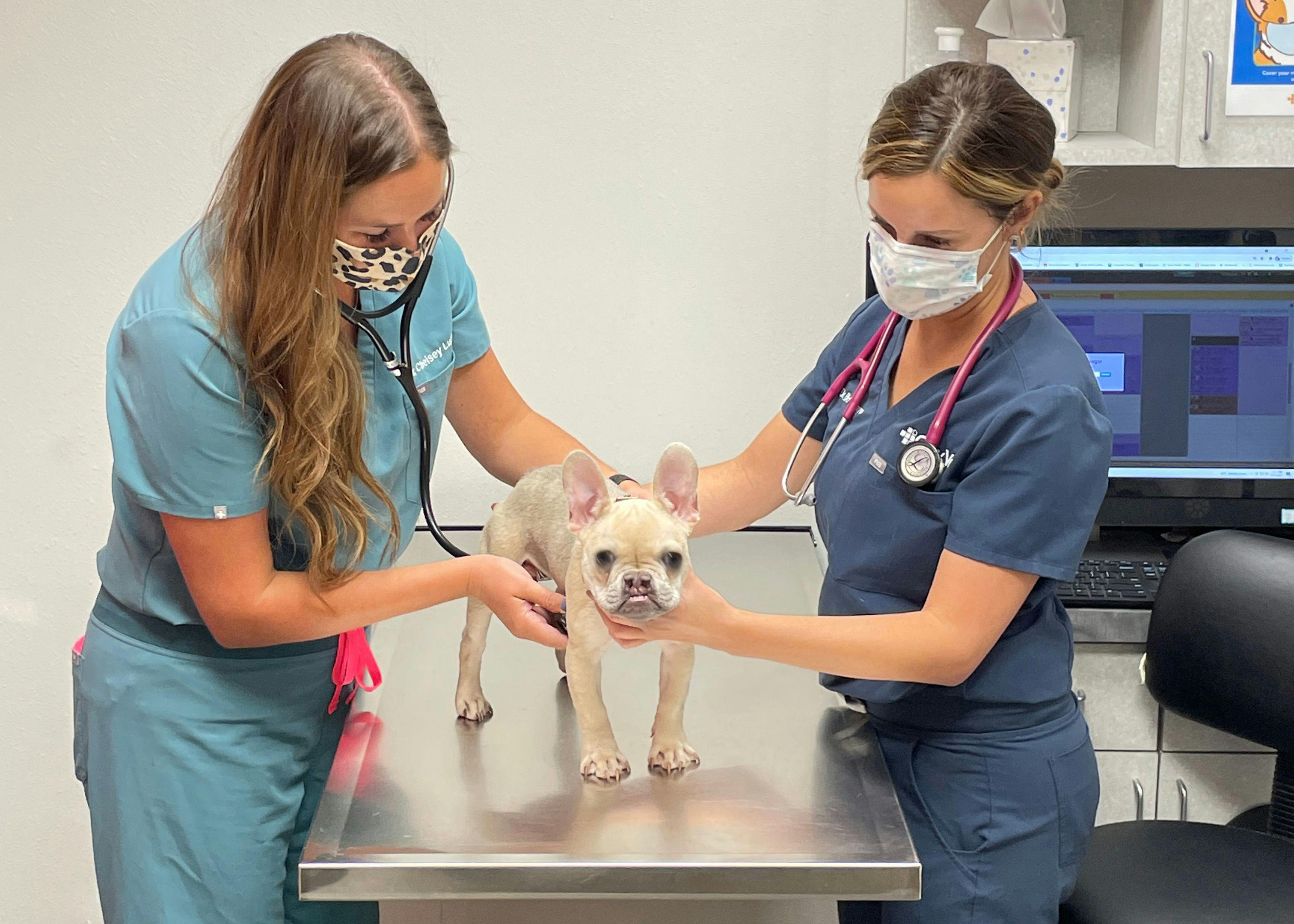 Clinic center: Recent veterinary health facilities opening across North America