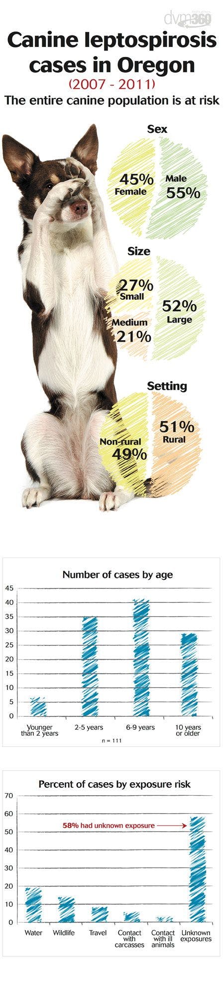 veterinary-Canine-leptosspirosis-cases-in-Oregon_450-1.jpg