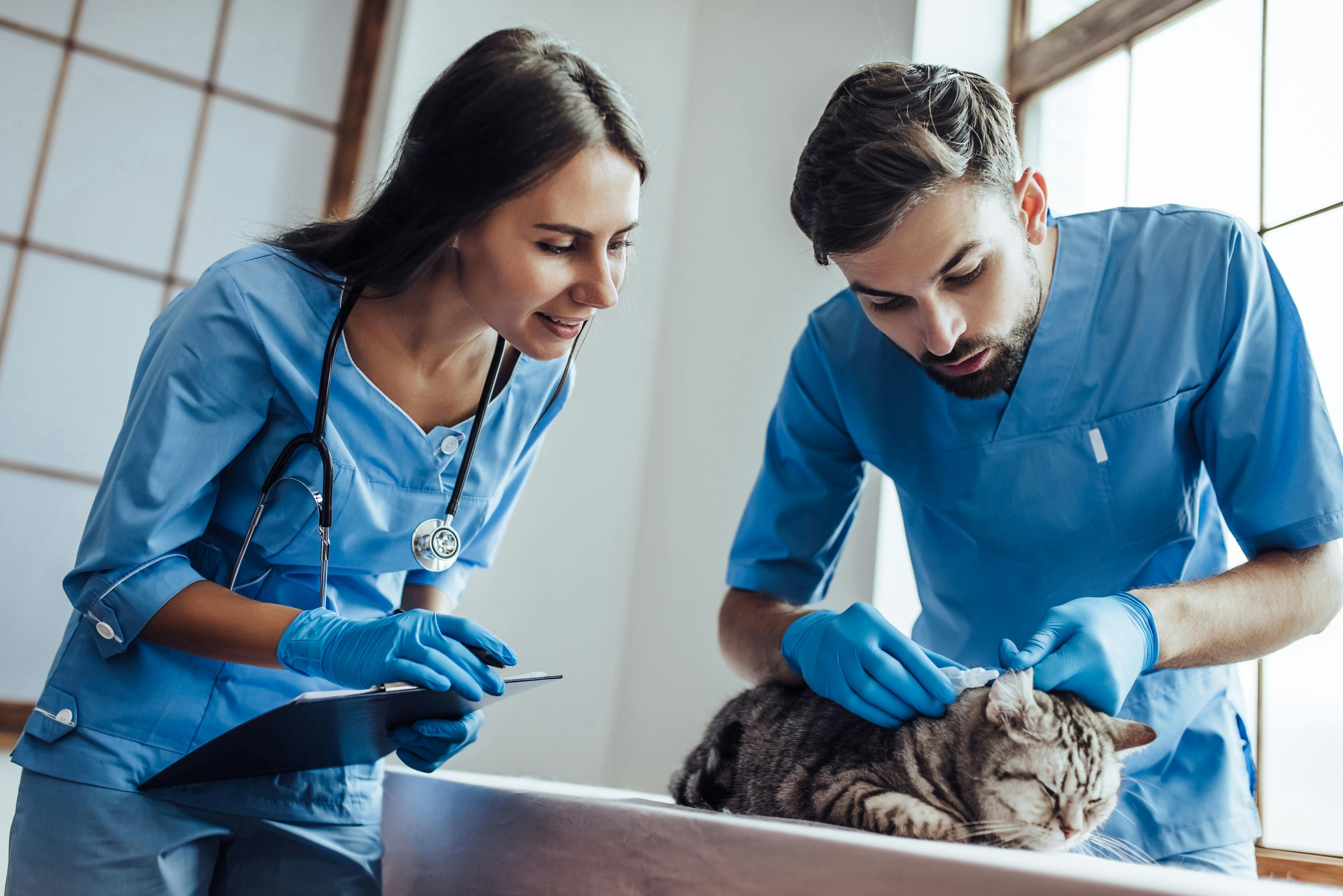 Schwarzman AMC to introduce first-ever Veterinary Assistant Appreciation Week 
