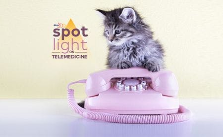 veterinary-cat-with-retro-phone-spotlight_AdobeStock_98911570-450.jpg