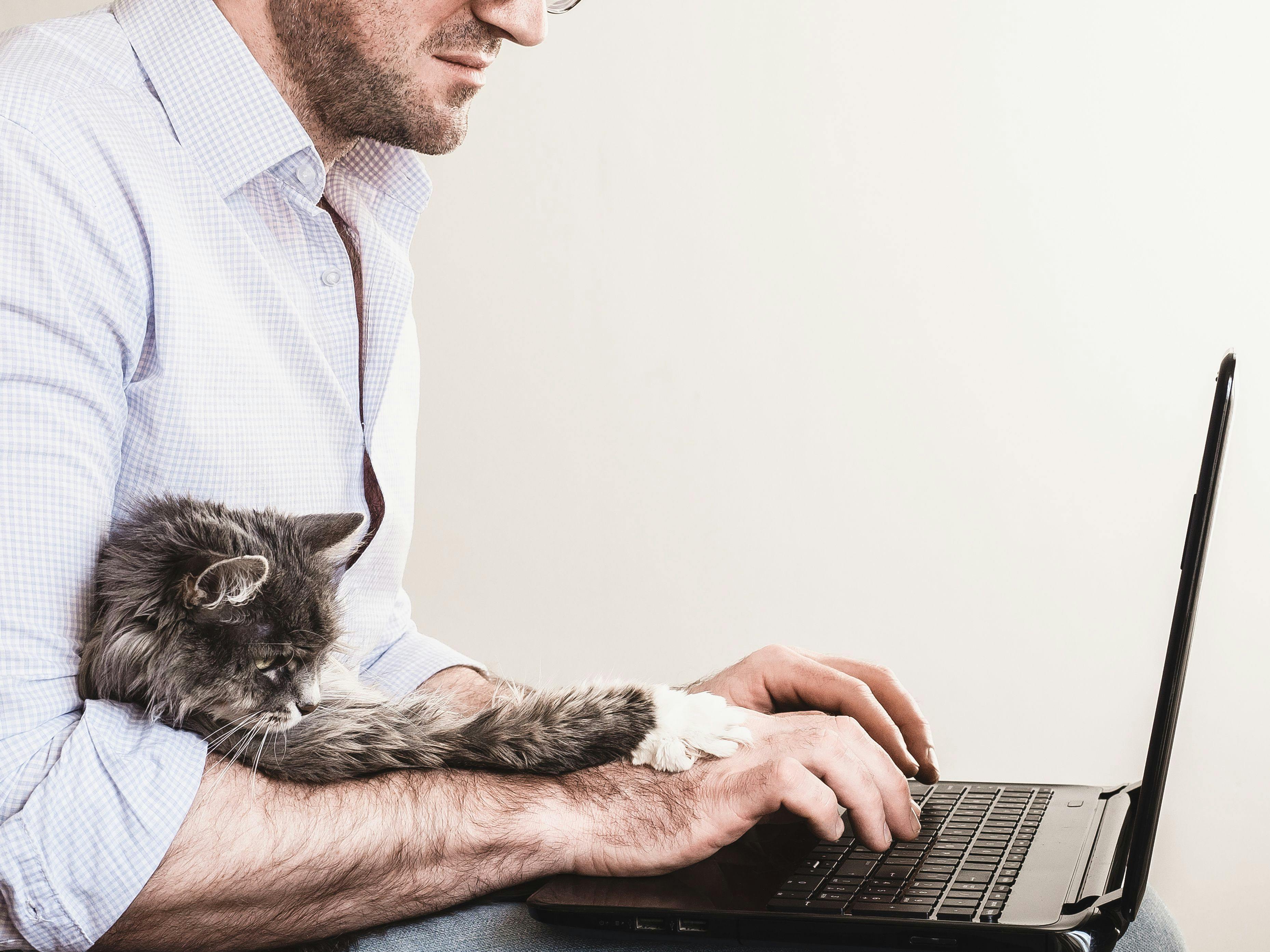 man with cat computer