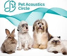 veterinary-pet-acoustics-subscription.jpg
