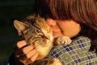 Surprise! Cats Actually Like People