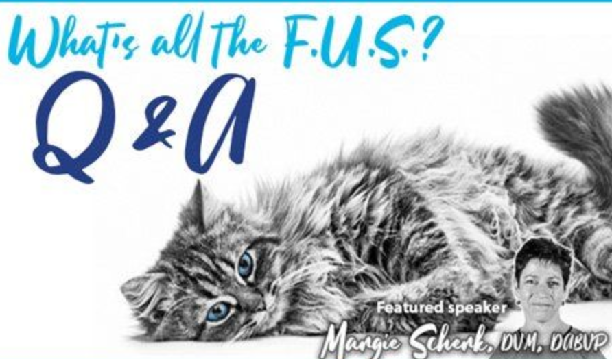 Webinar: What's all the F.U.S.? It hurts when I pee! — Q&A follow-up