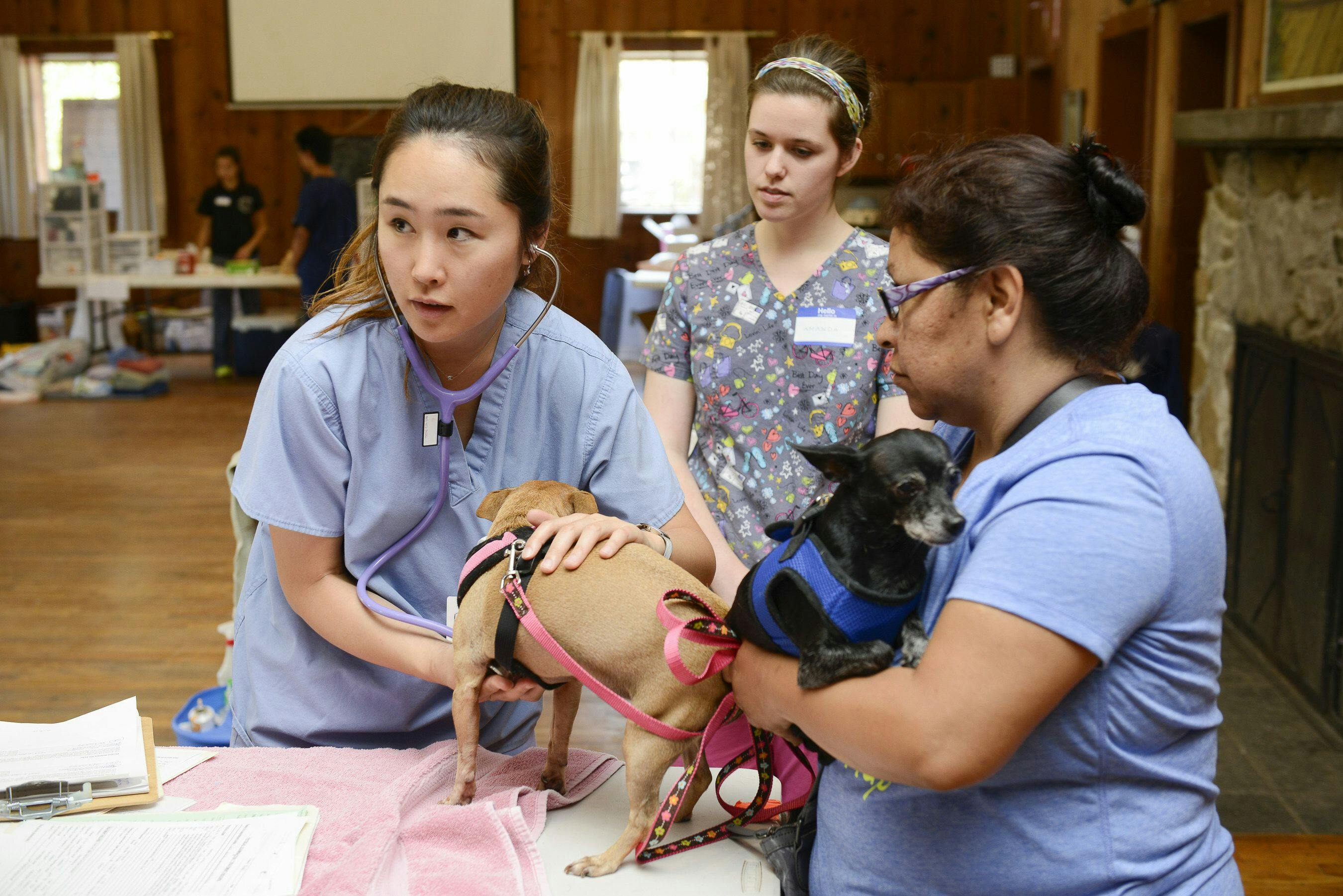Three UC Davis personnel associated with the Knights Landing One Health Center provide complimentary veterinary care to a community member’s dogs. (Photo credit: UC Davis)