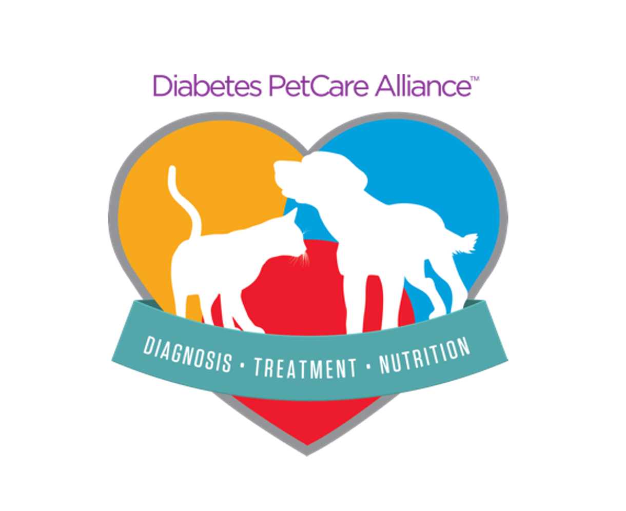 Enrollment opens next month for the 2021 Diabetes PetCare Alliance Program 
