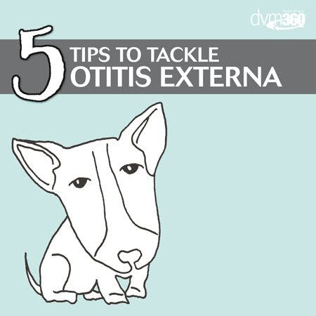 veterinary-5tips-for-otitis-externa-450.jpg