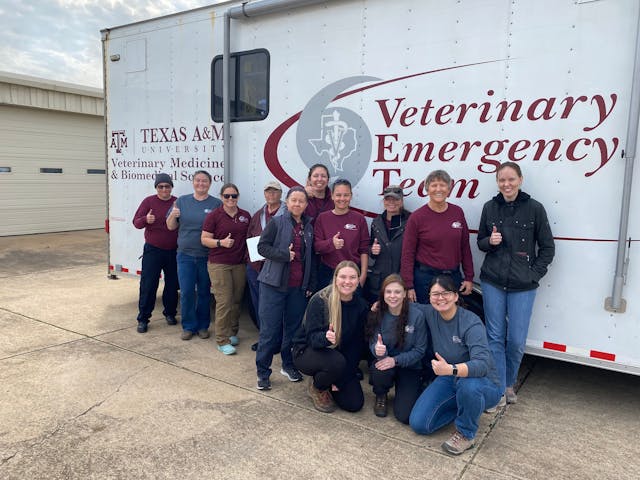 Texas A&M Veterinary Emergency Team