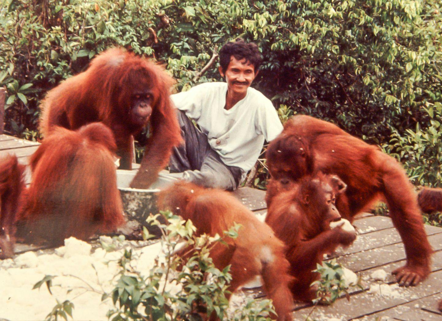 From the lens of a veterinarian: The Dayaks of Camp Leakey in 1991