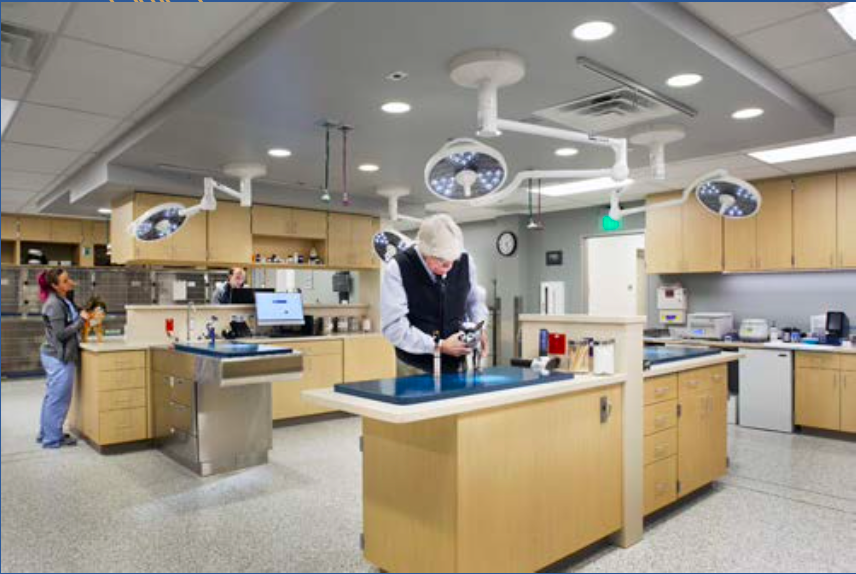 The treatment area at VCA Alameda East Veterinary Hospital in Denver, Colorado, was designed with under-counter task lighting, LED overhead lights, LED can lights, and examination lights, which allow the counters to be clear and clean. (Photo by Murphy Foto Imagery)
